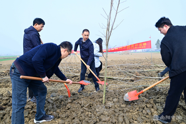 南阳中院开展义务植树活动